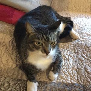 Meet your Posher, Thaan